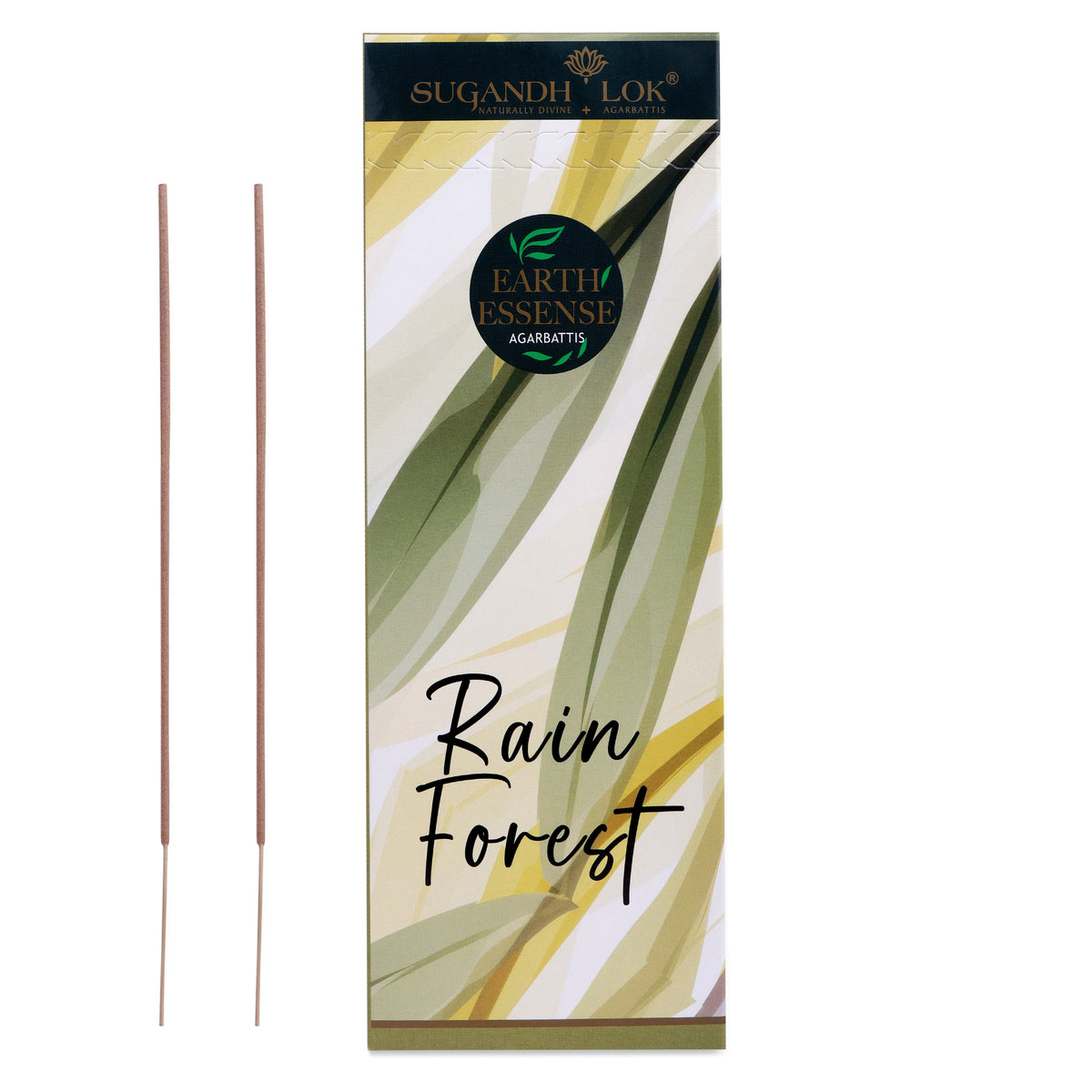 Rain Forest - Earth Essence