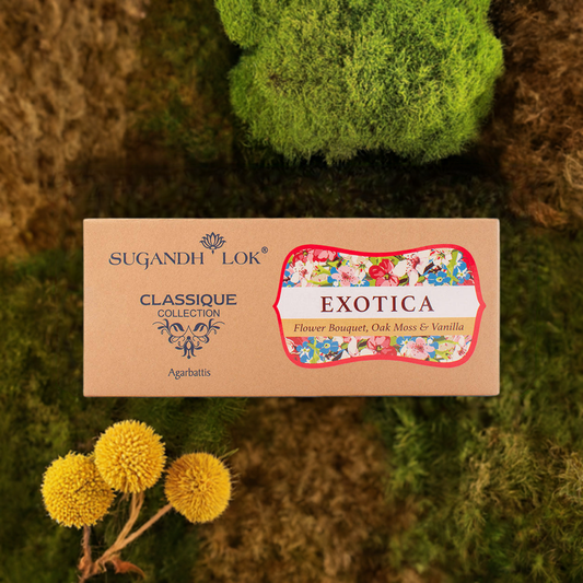 Exotica - Classique Economy