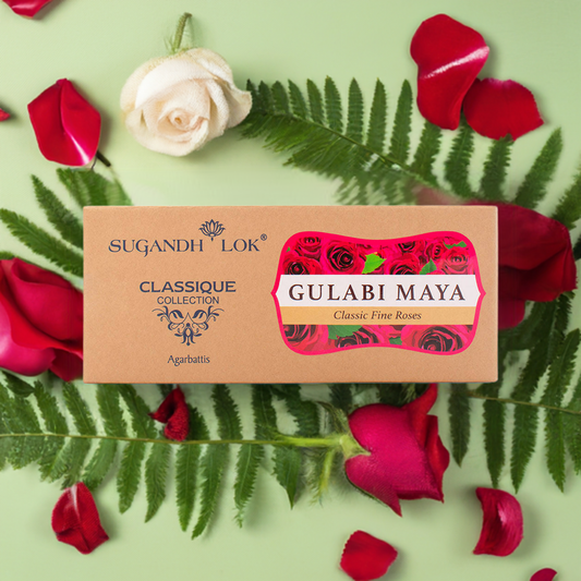 Gulabi Maya - Classique Economy