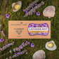 Lavender Mist - Classique Economy