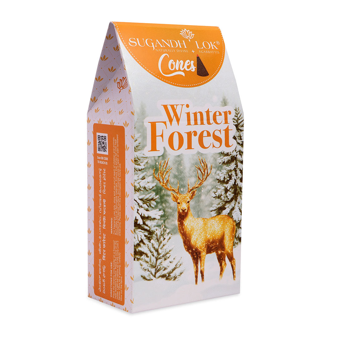 Winter Forest - Cones