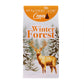 Winter Forest - Cones